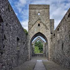Carlingford Abbey, the ruined Dominican Friary beside Carlingford House